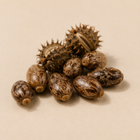 Argan Oil