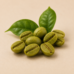 Green Coffee Oil