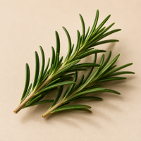 Rosemary Oil