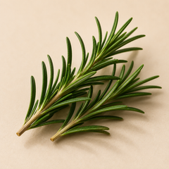 Rosemary Oil